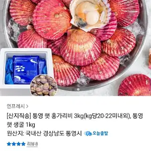 통영 햇 홍가리비 3kg