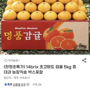 [지마켓] 초고당도 감귤 5kg 중대과