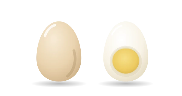 요리 이미지