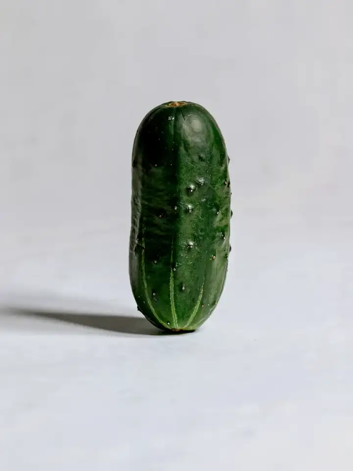 오이 고르는 법, 제철 오이 신선도 한눈에 확인하기